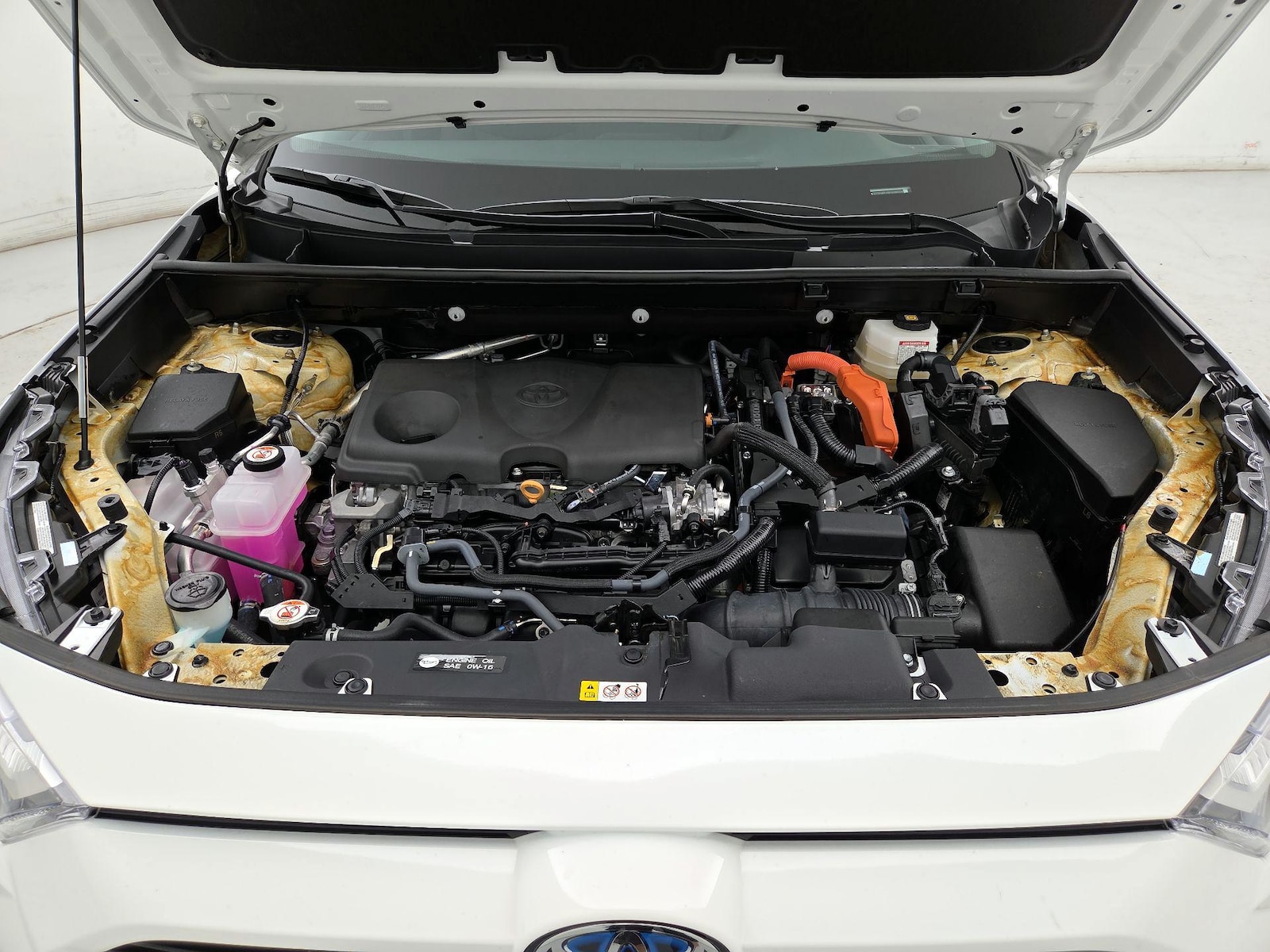 2023 Toyota RAV4 XLE - Photo 24