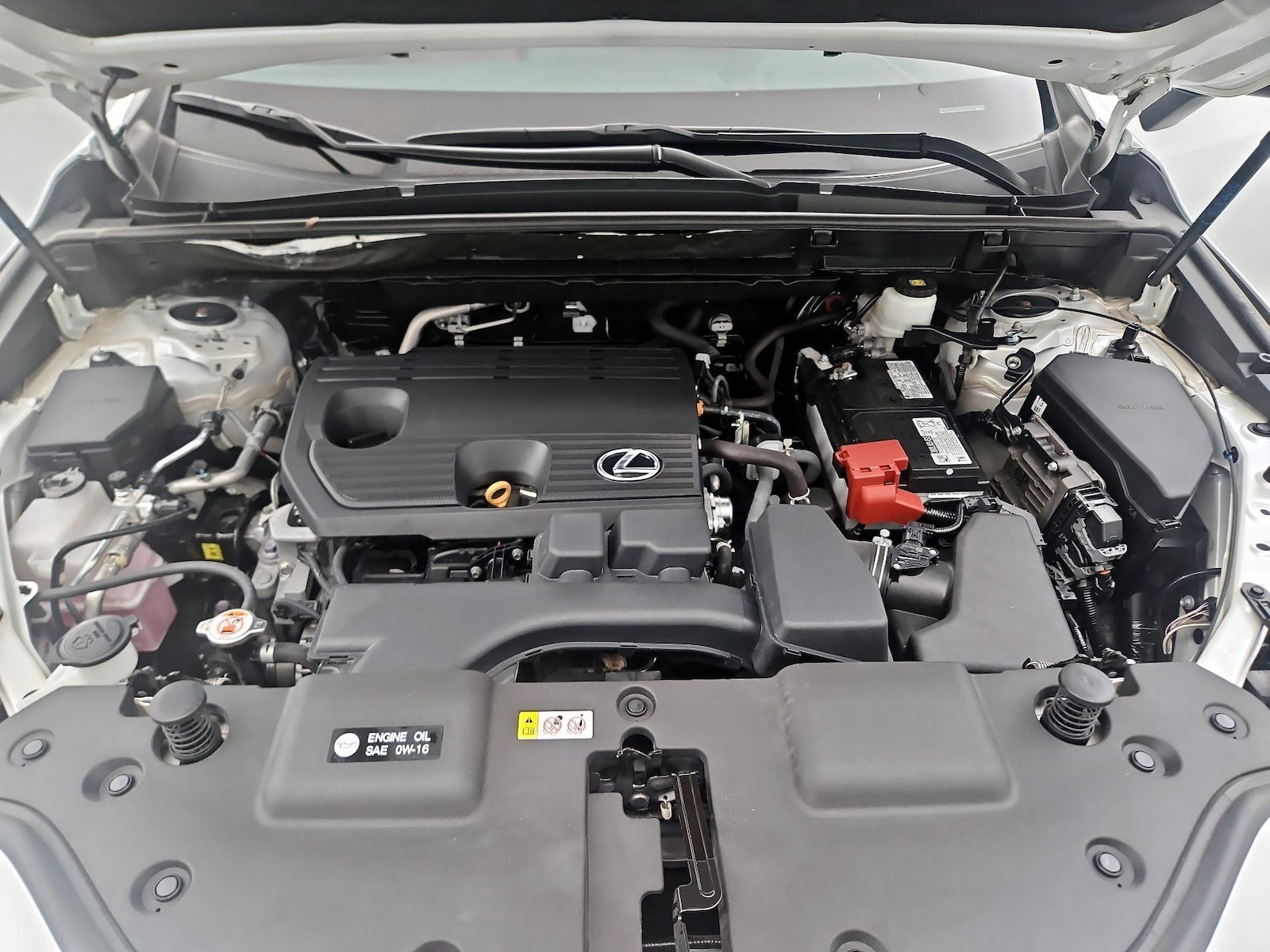 2024 Lexus NX 250 - Photo 23