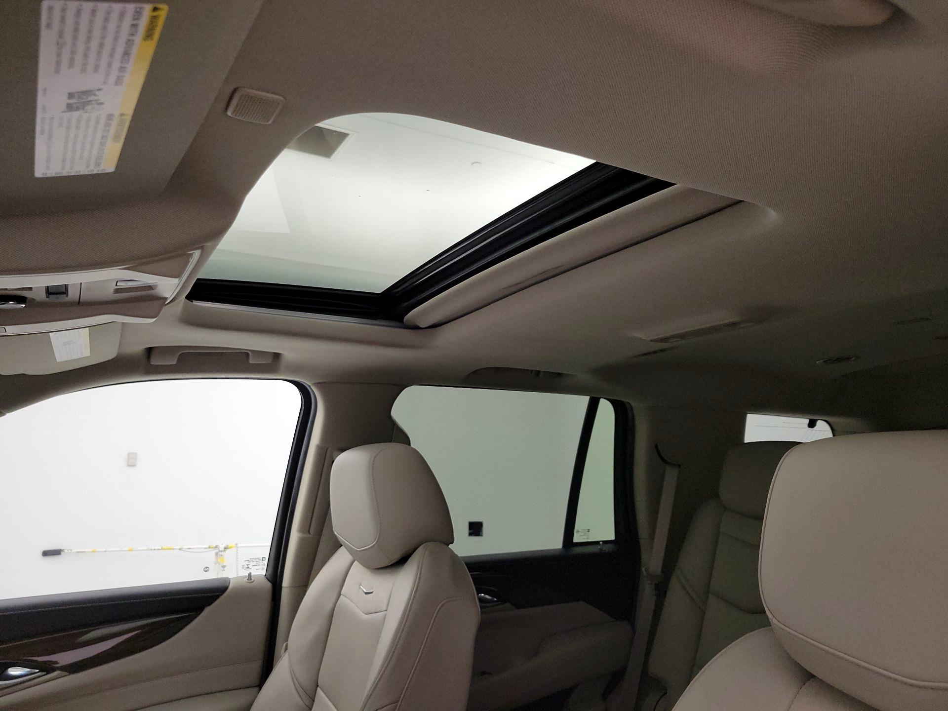 Thumbnail: 2019 Cadillac Escalade - 20