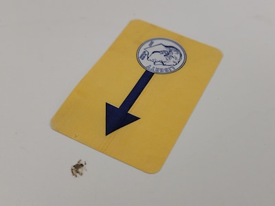 Condition detail