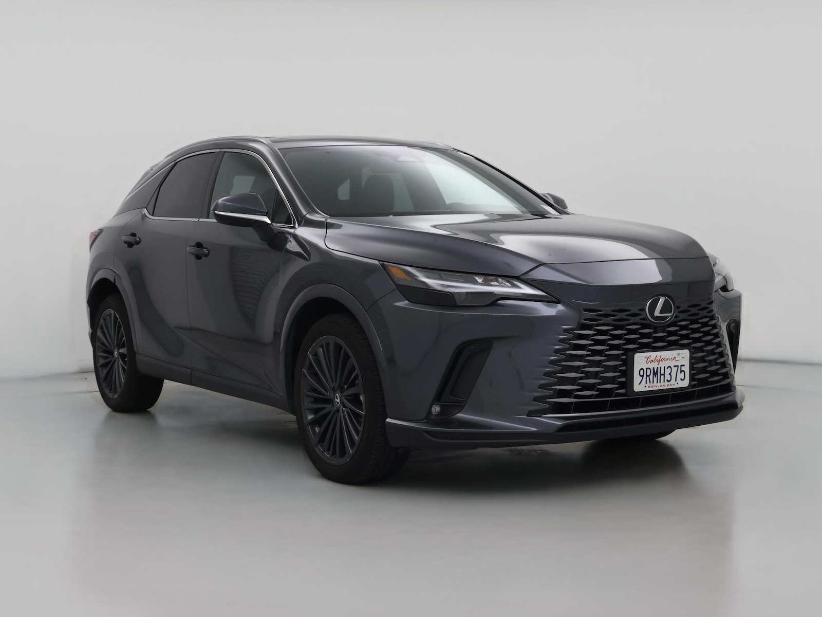 2025 Lexus RX