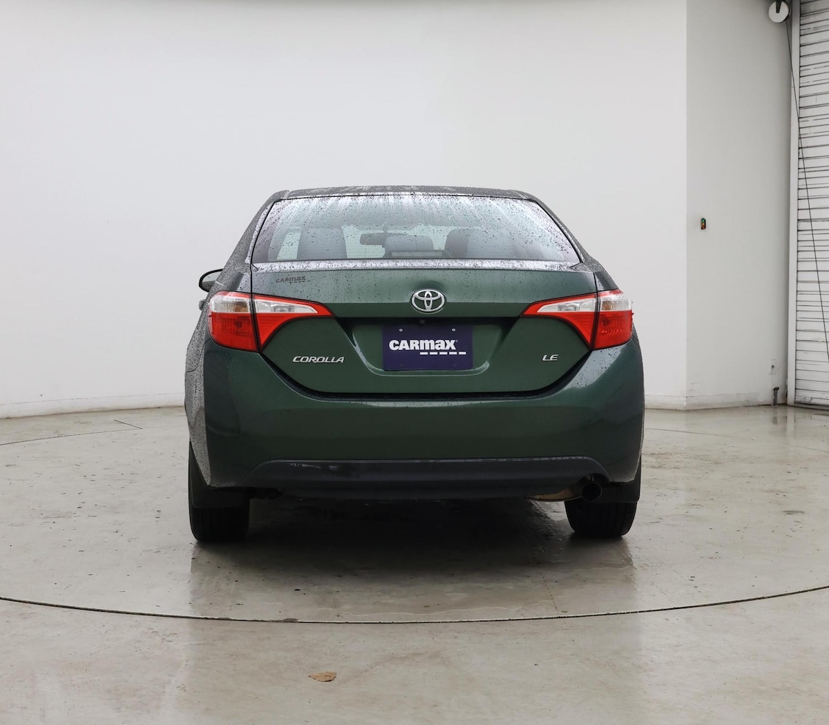 Rear