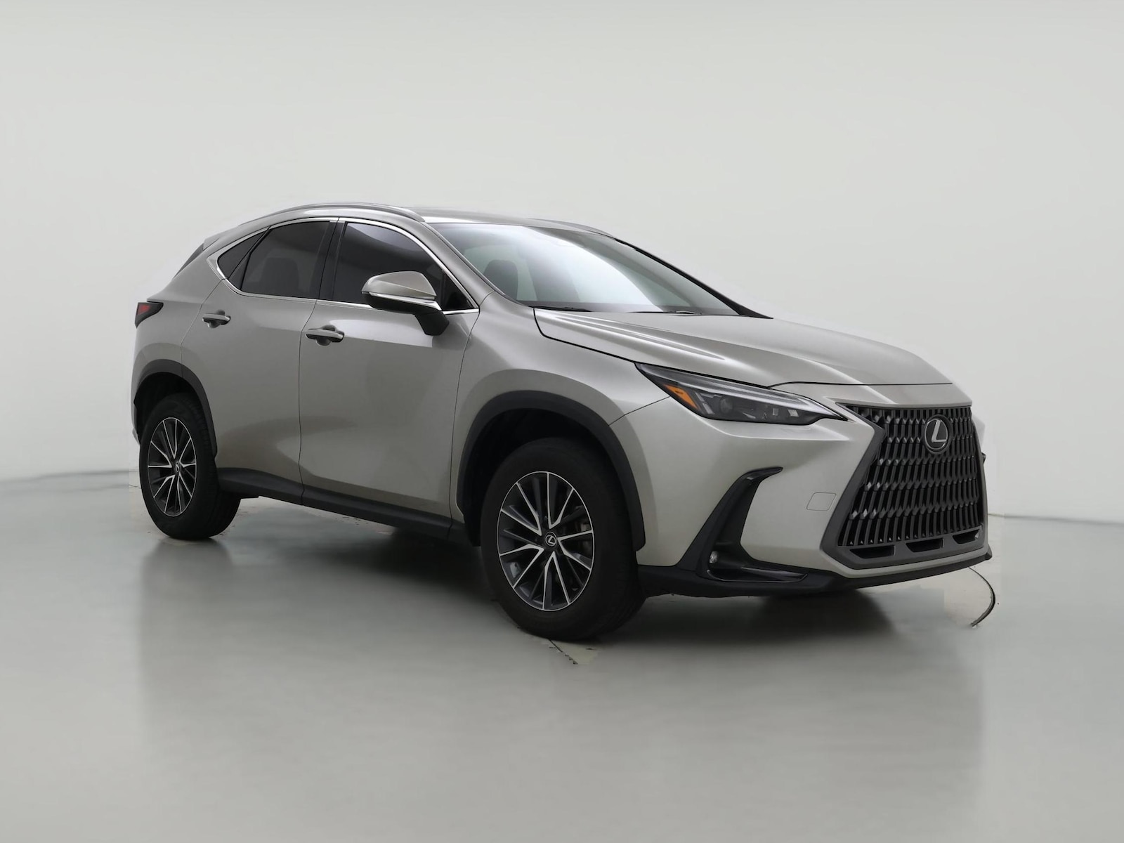 2024 Lexus NX