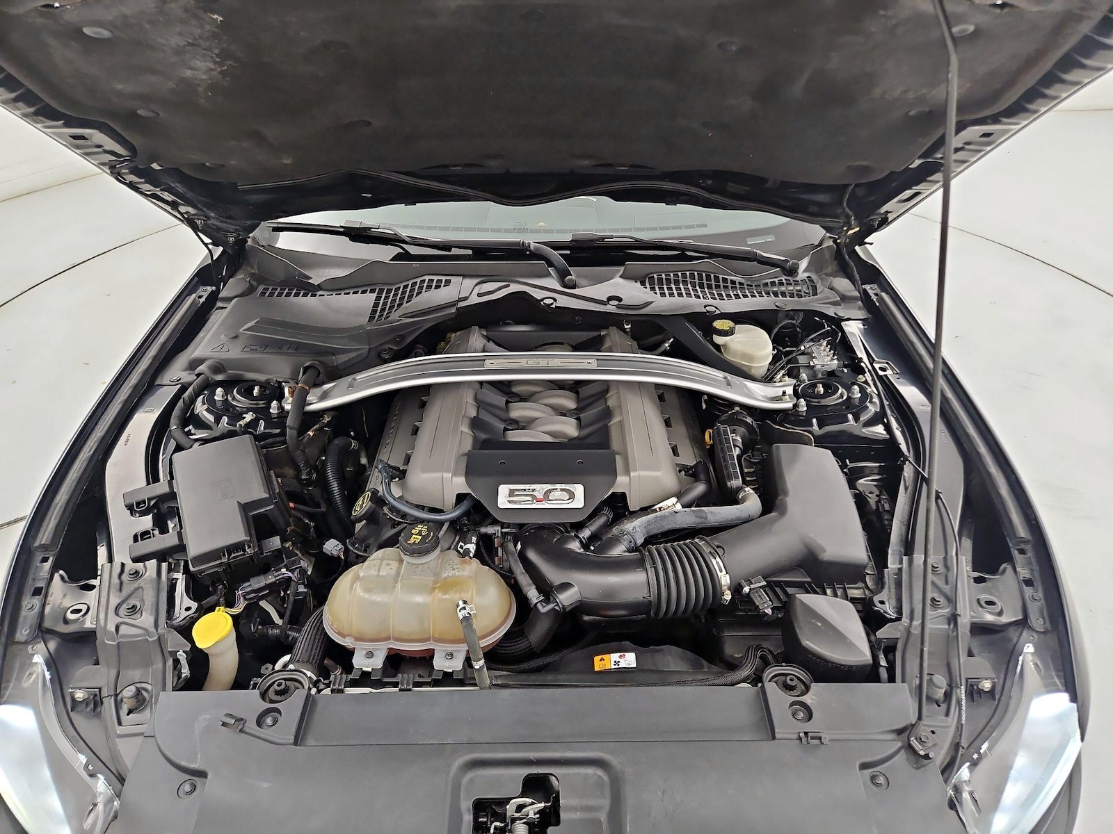 2016 Ford Mustang GT Premium - Photo 23