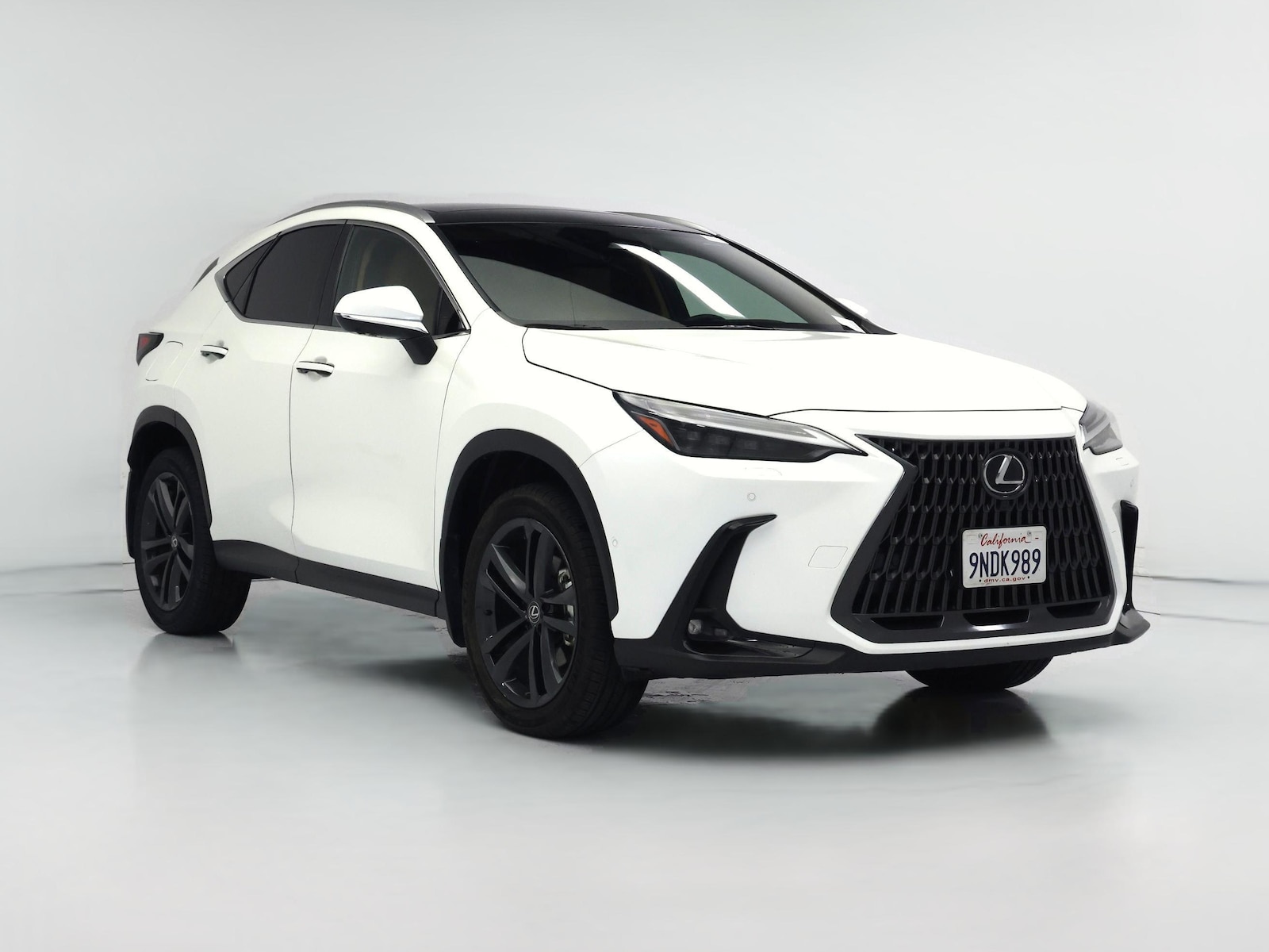2025 Lexus NX