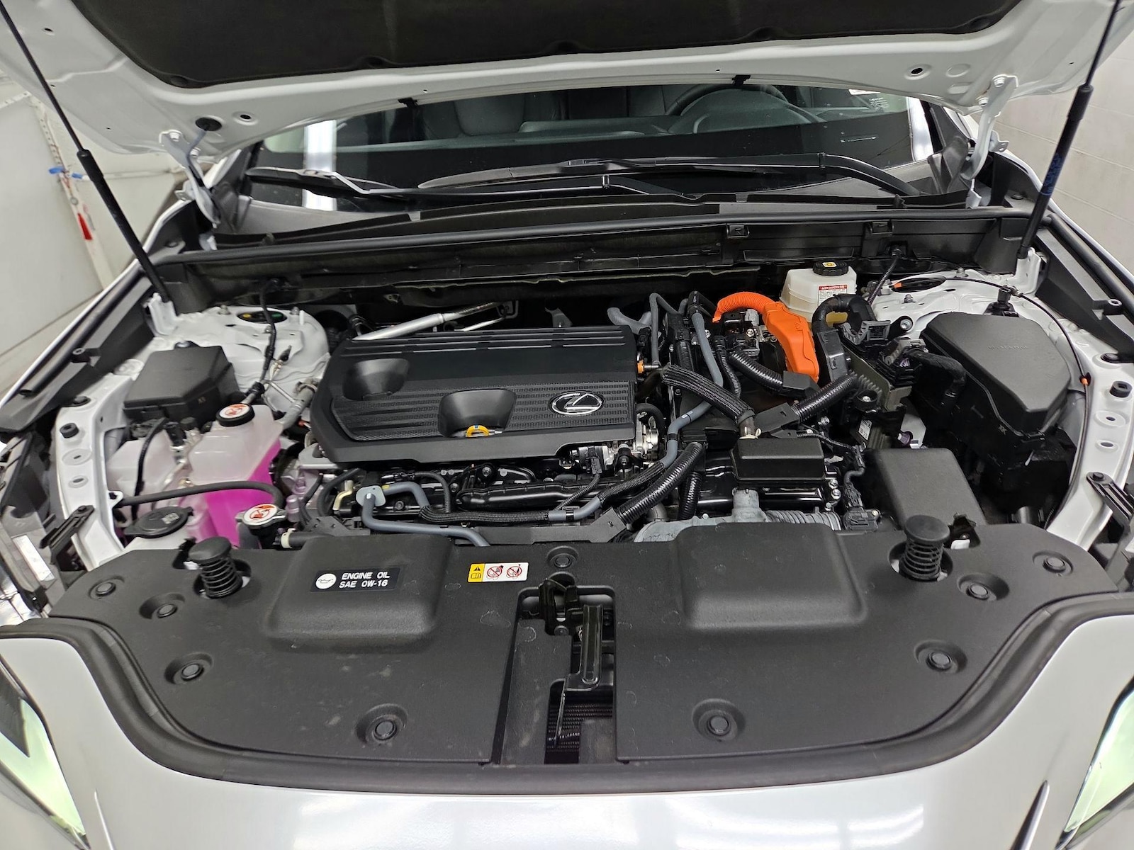 2025 Lexus NX Hybrid 350h - Photo 16
