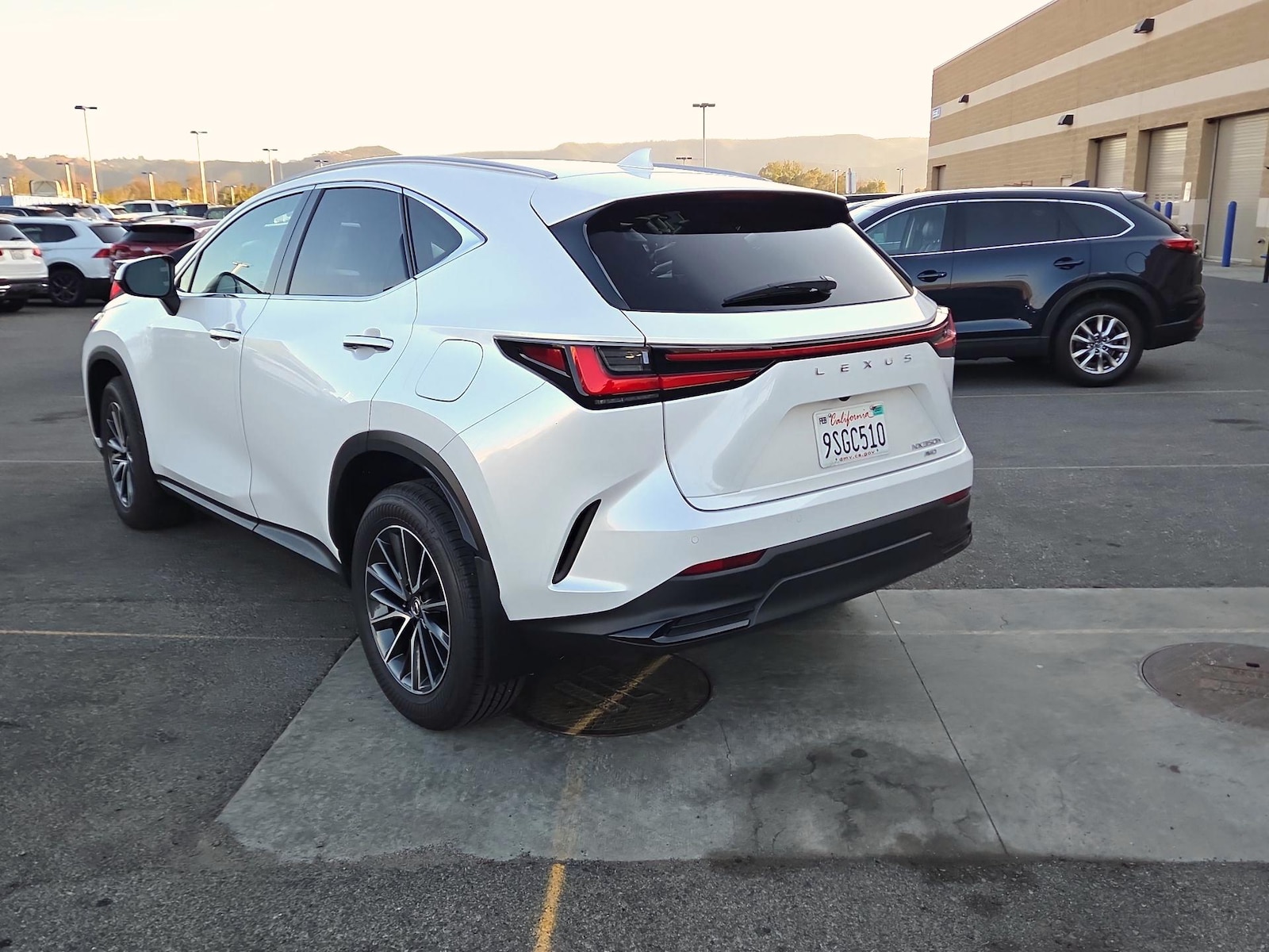 2025 Lexus NX Hybrid 350h - Photo 7