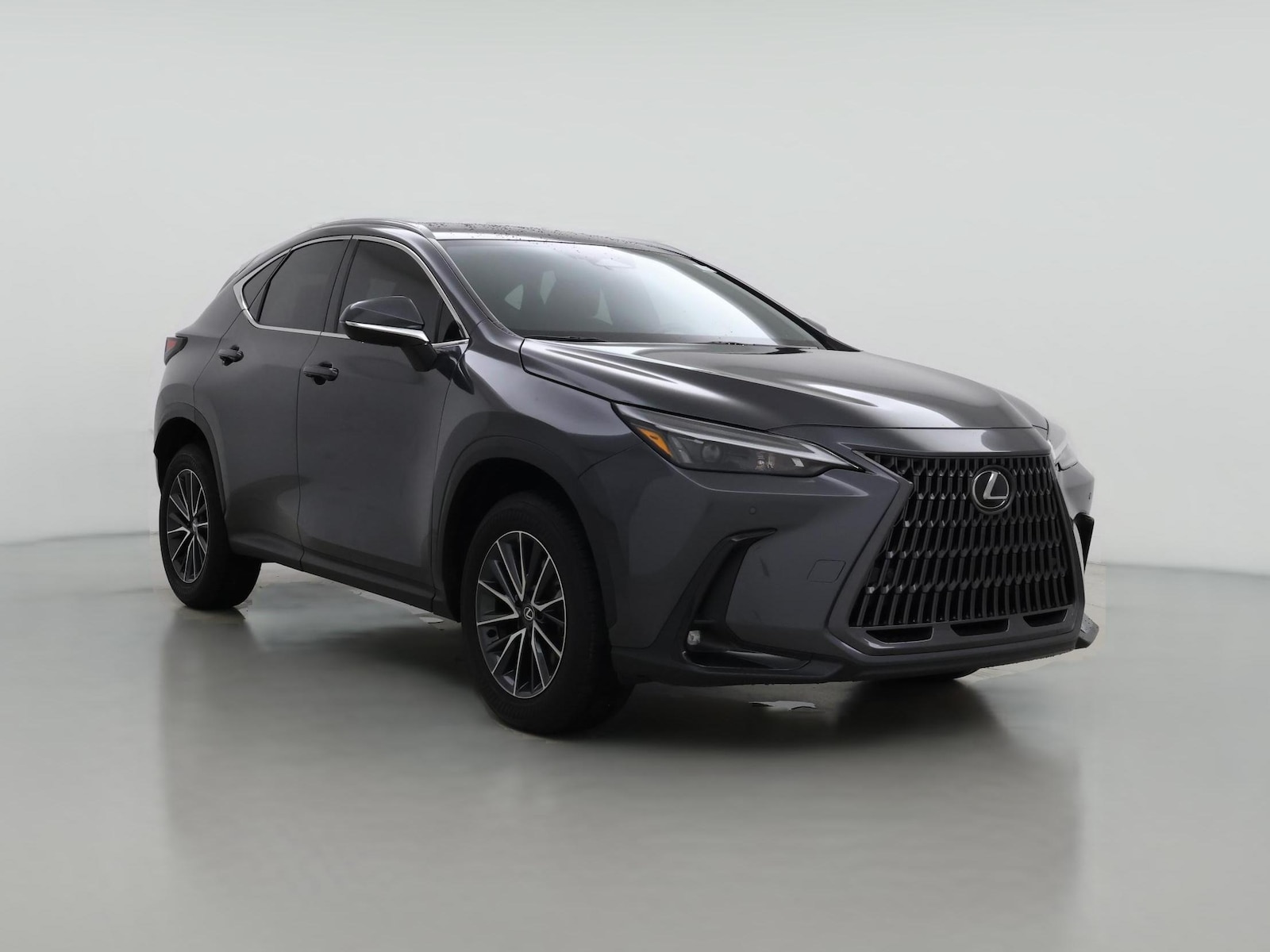 2025 Lexus NX