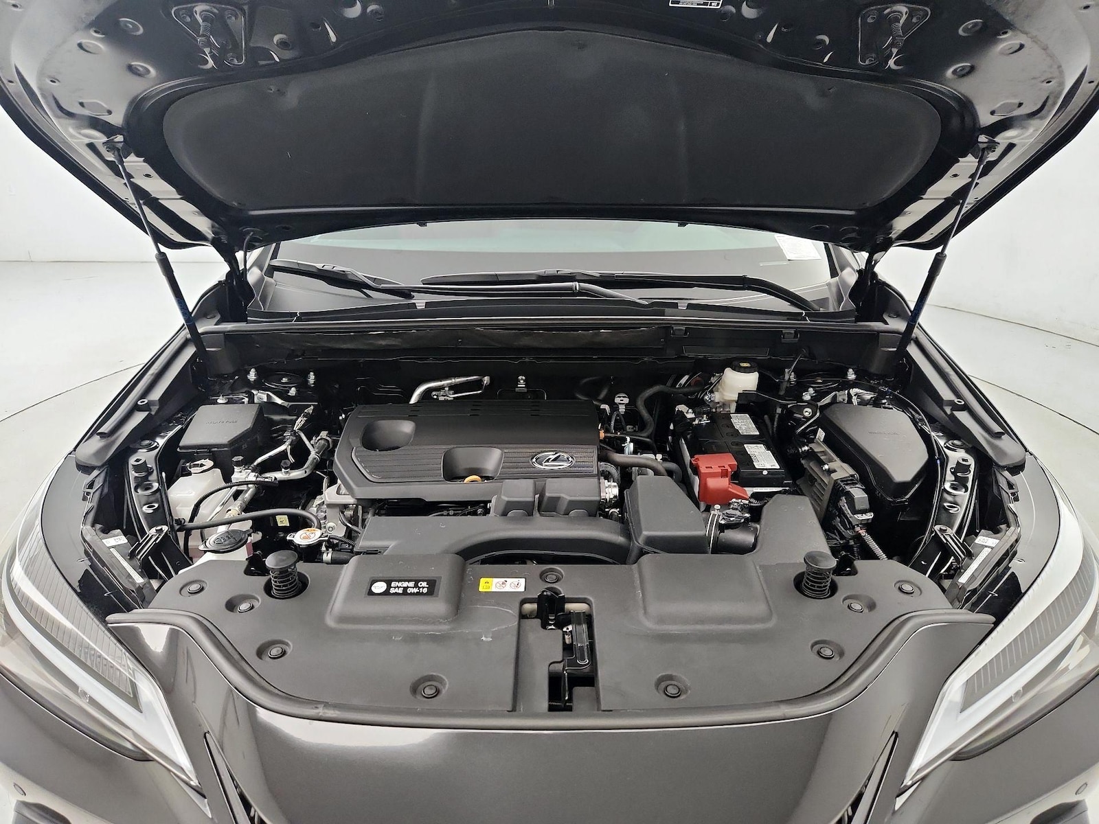 2025 Lexus NX 250 - Photo 22