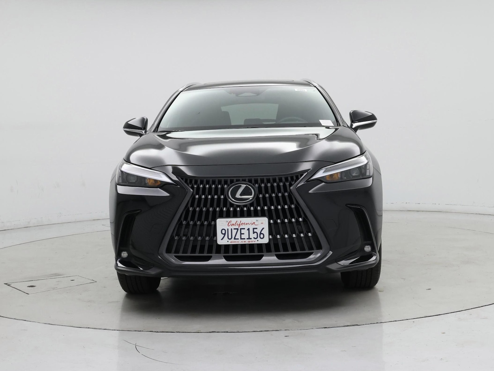 2025 Lexus NX 250 - Photo 6