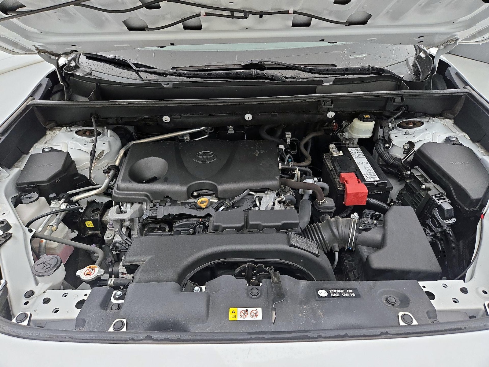 2019 Toyota RAV4 LE - Photo 22