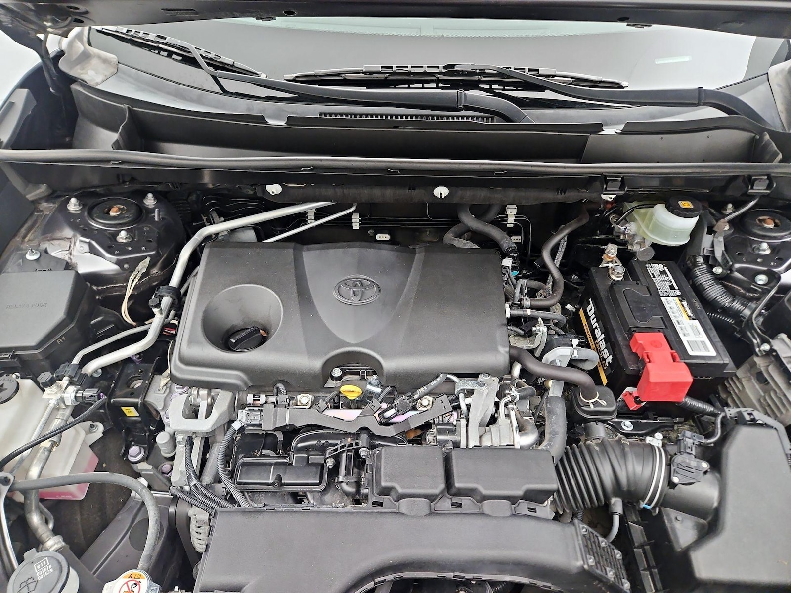 2019 Toyota RAV4 LE - Photo 22