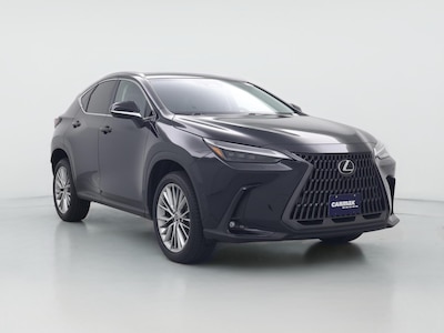 2024 Lexus NX 350h Luxury