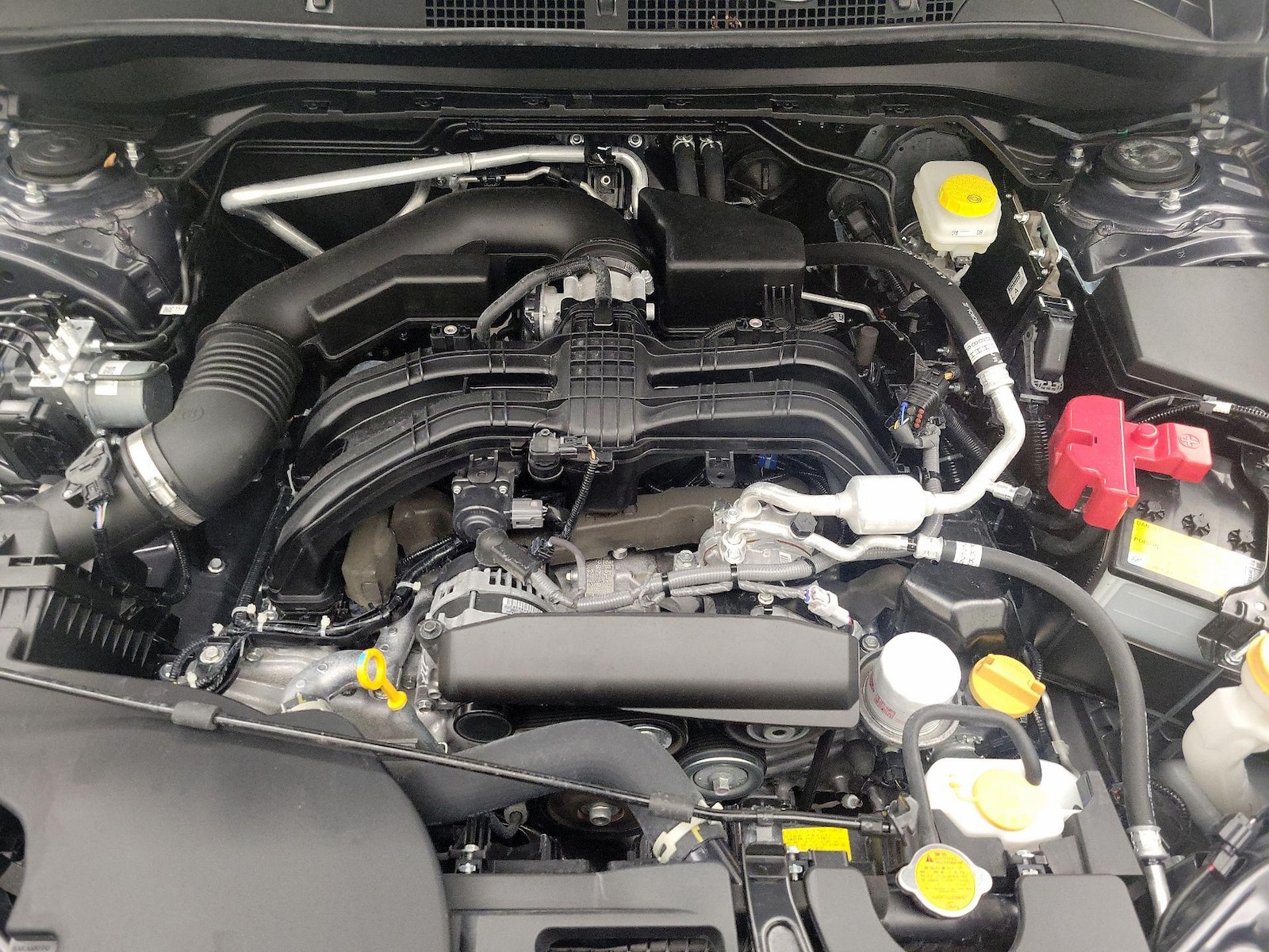 Photo 23