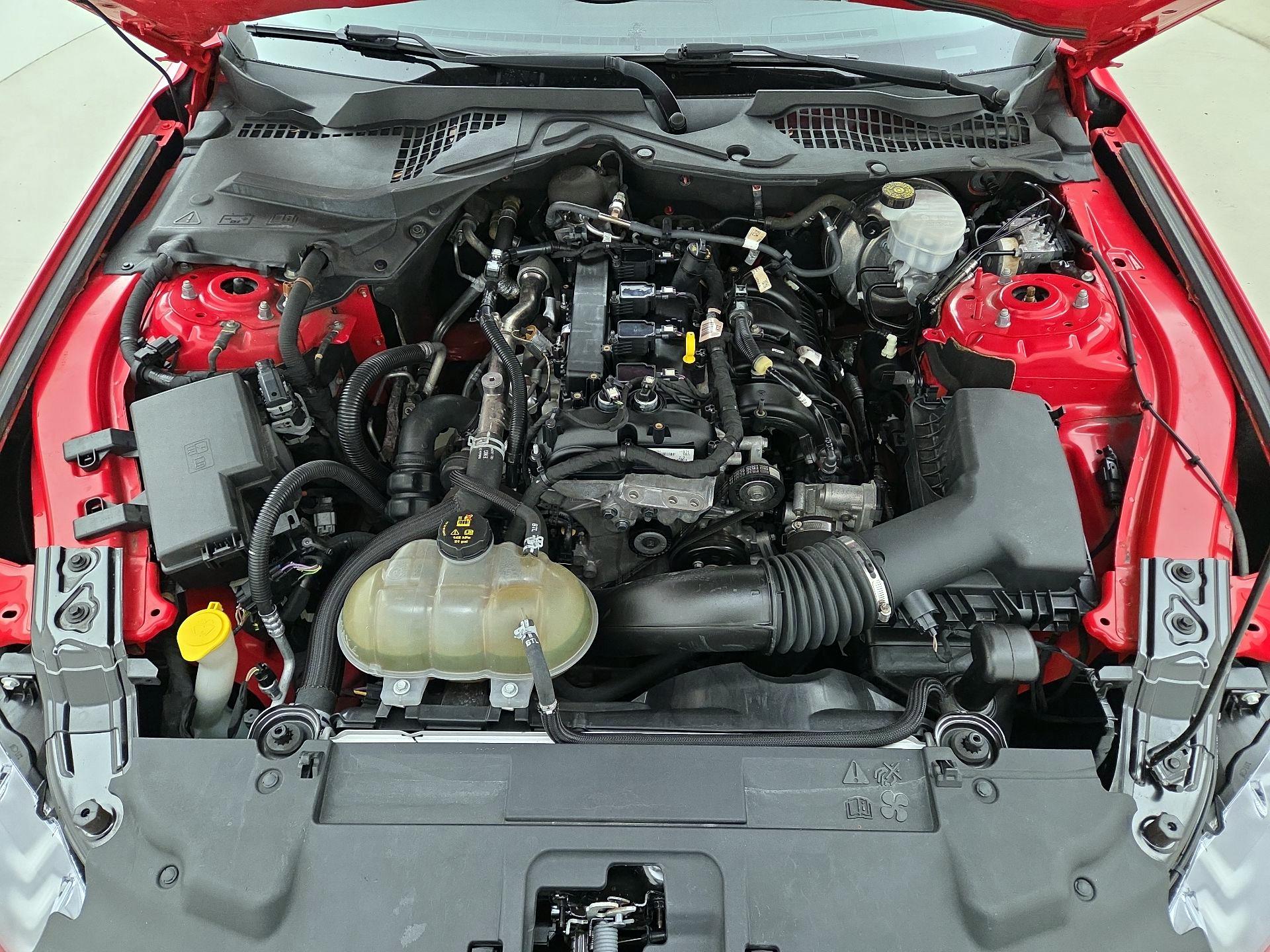 Thumbnail: 2019 Ford Mustang - 20