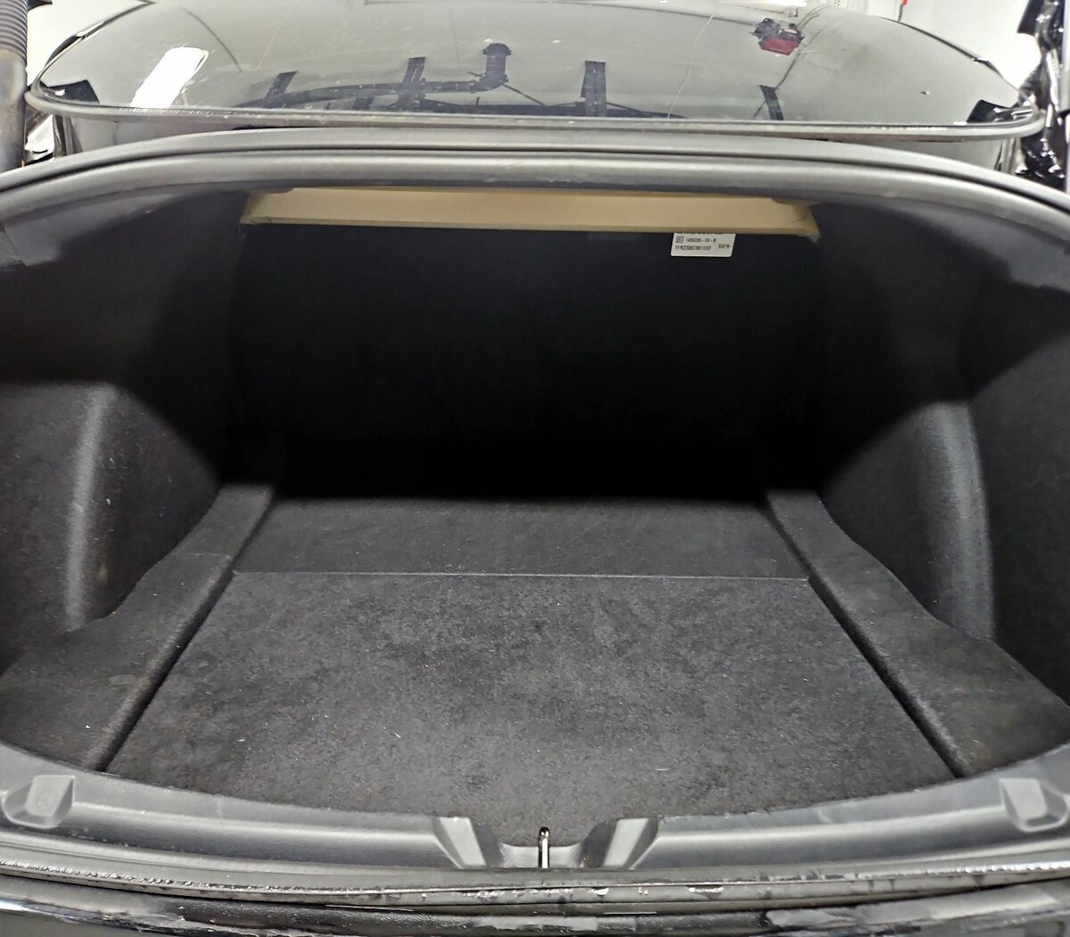 Trunk/Cargo (Seats Up)
