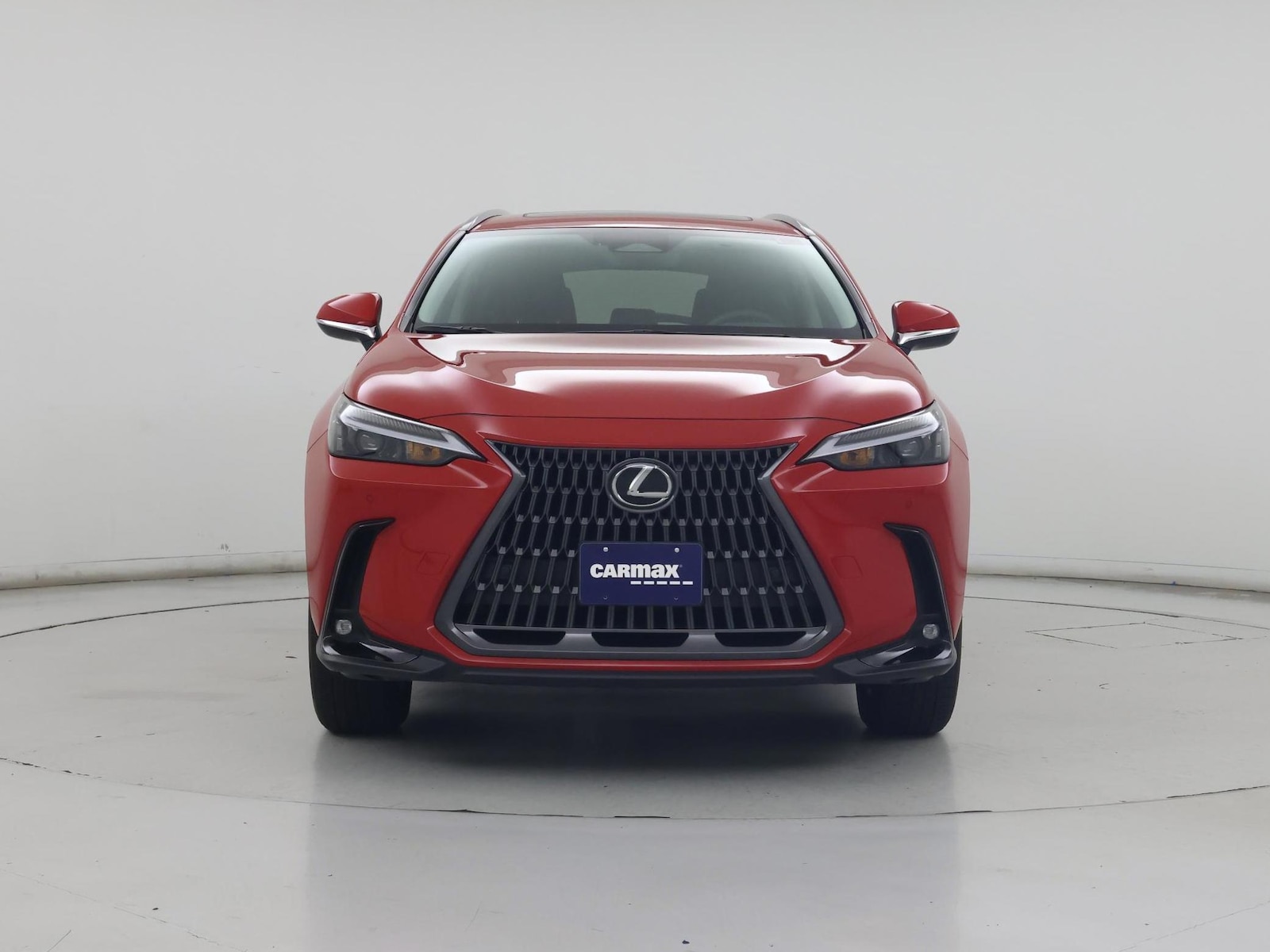 2024 Lexus NX 250 - Photo 6
