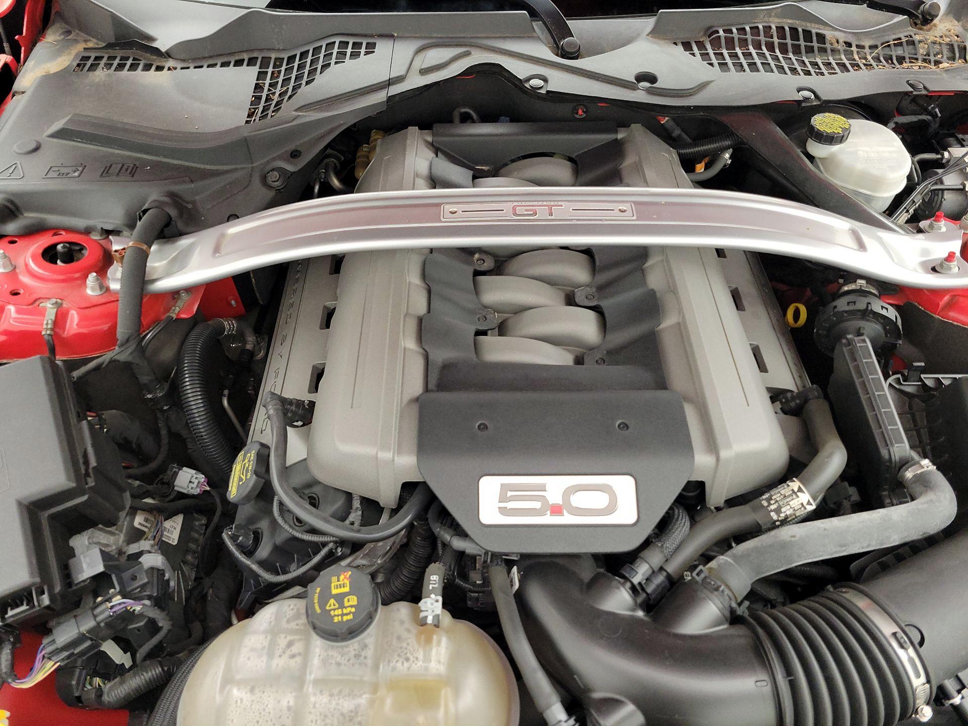 Thumbnail: 2015 Ford Mustang - 20