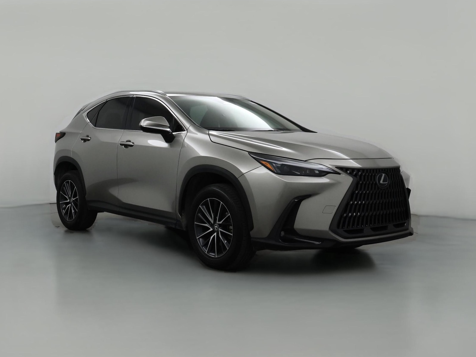 2024 Lexus NX