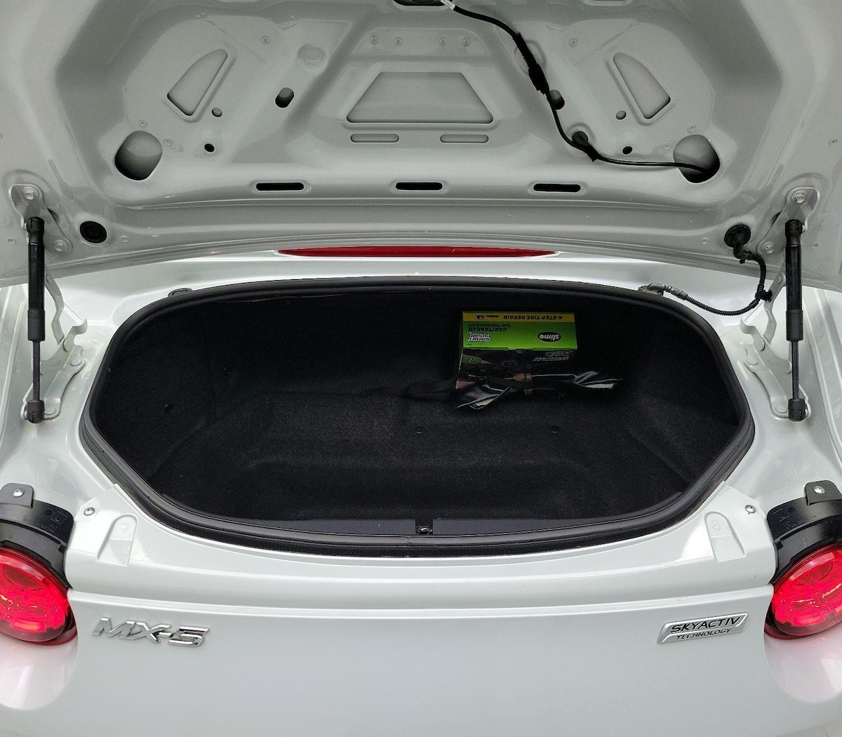 Trunk/Cargo (Seats Up)