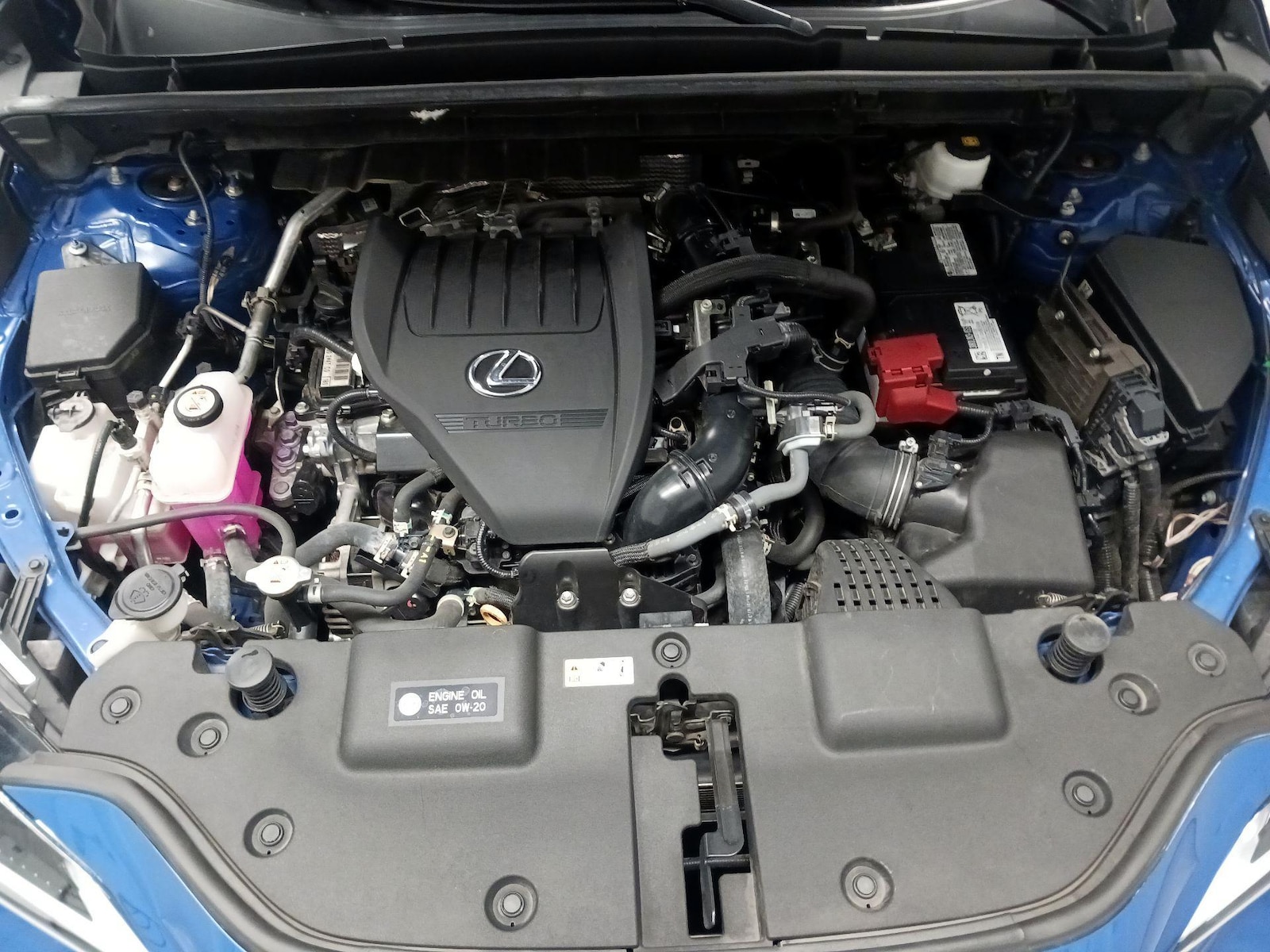2024 Lexus NX 350 - Photo 18