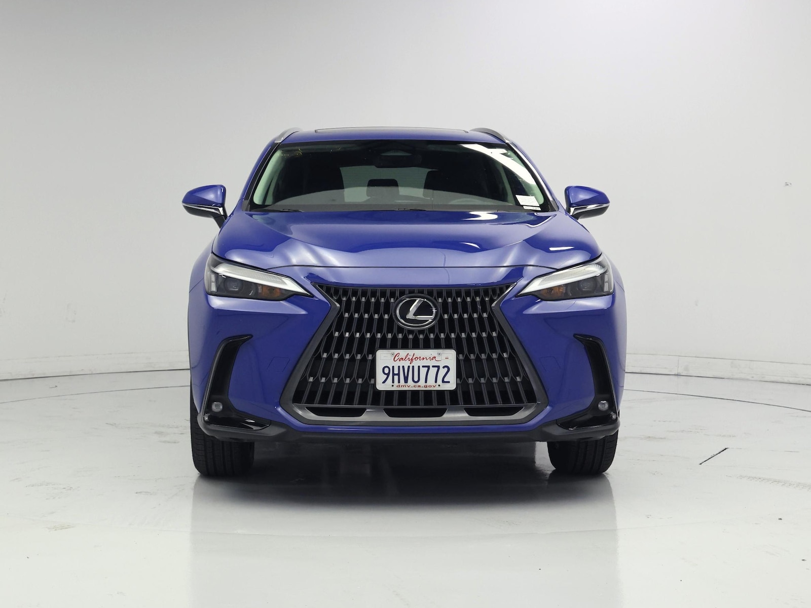2024 Lexus NX 350 - Photo 6