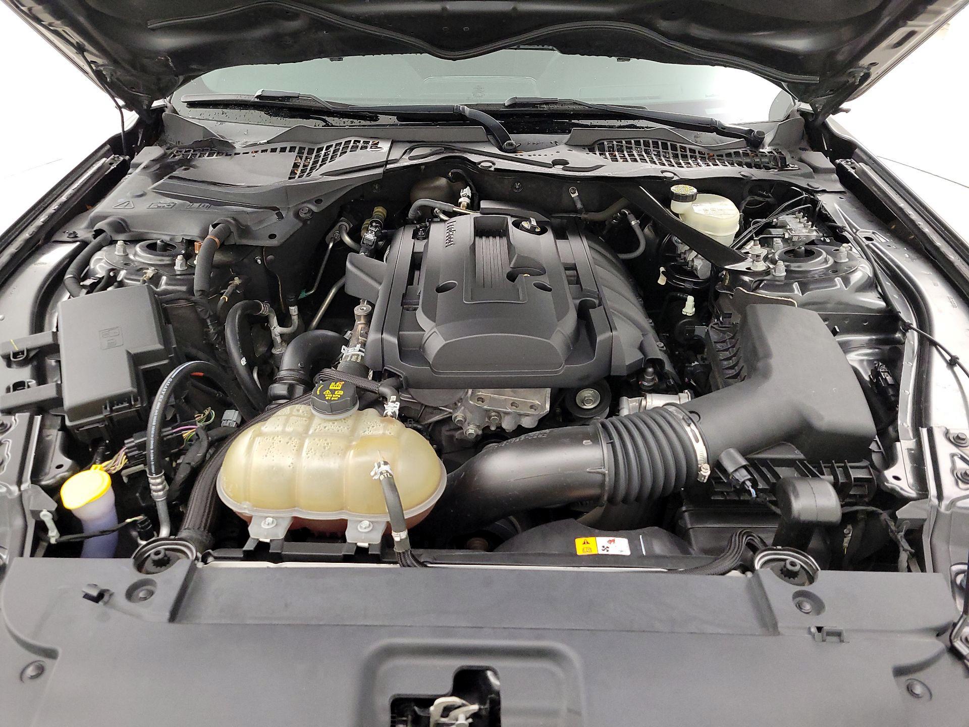 Thumbnail: 2016 Ford Mustang - 20
