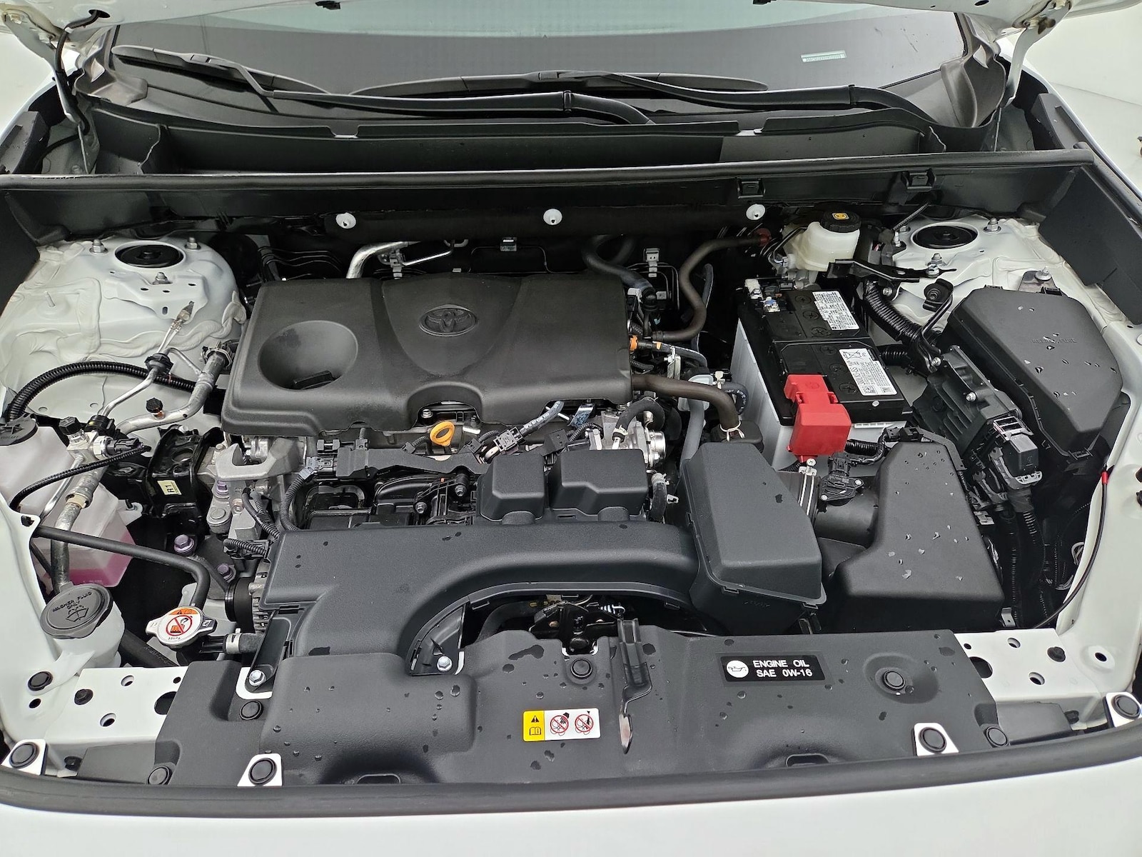 2025 Toyota RAV4 XLE - Photo 22