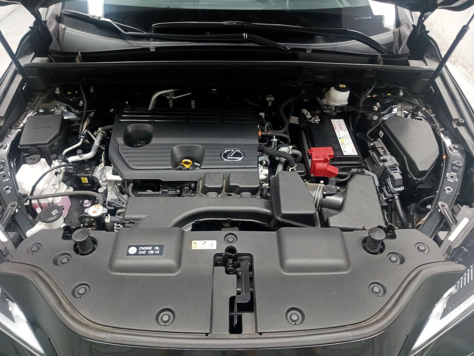 2024 Lexus NX 250 - Photo 23