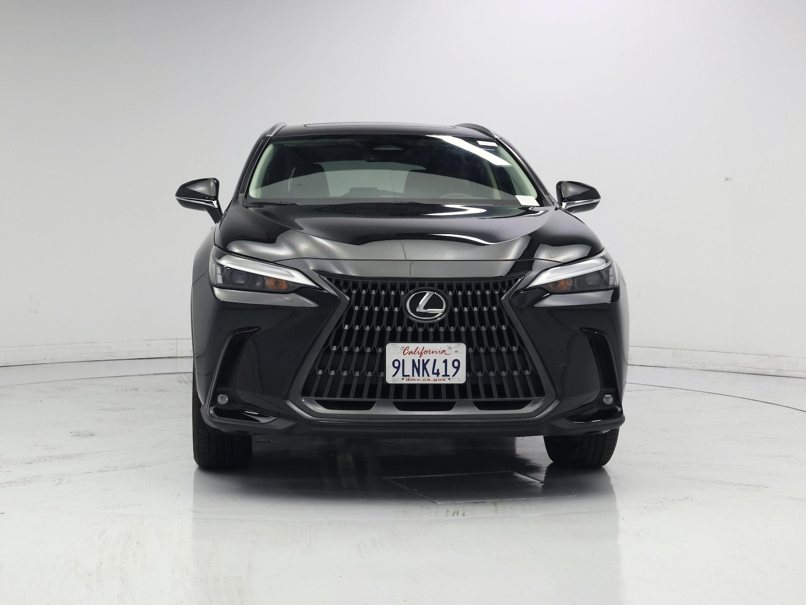 2024 Lexus NX 250 - Photo 6