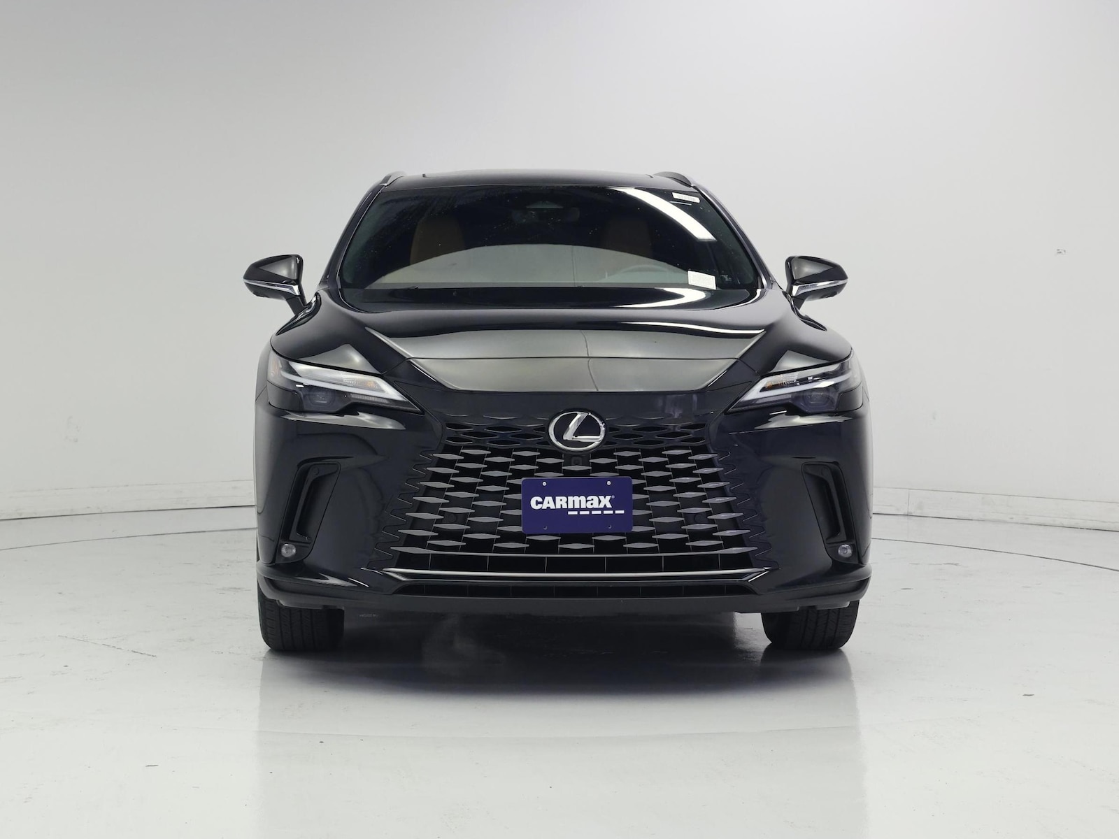2025 Lexus RX 350 - Photo 6