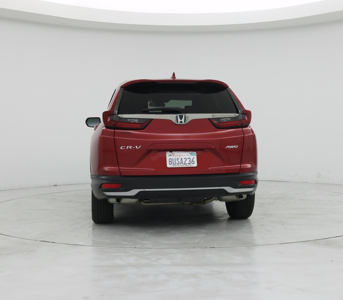 Rear