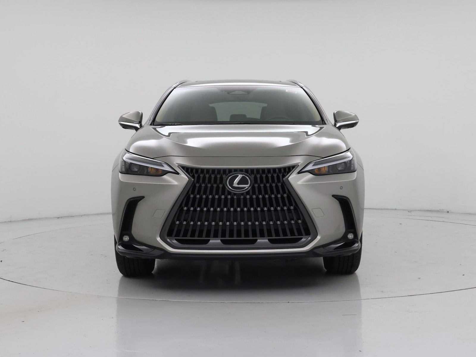 2026 Lexus NX 350 - Photo 6