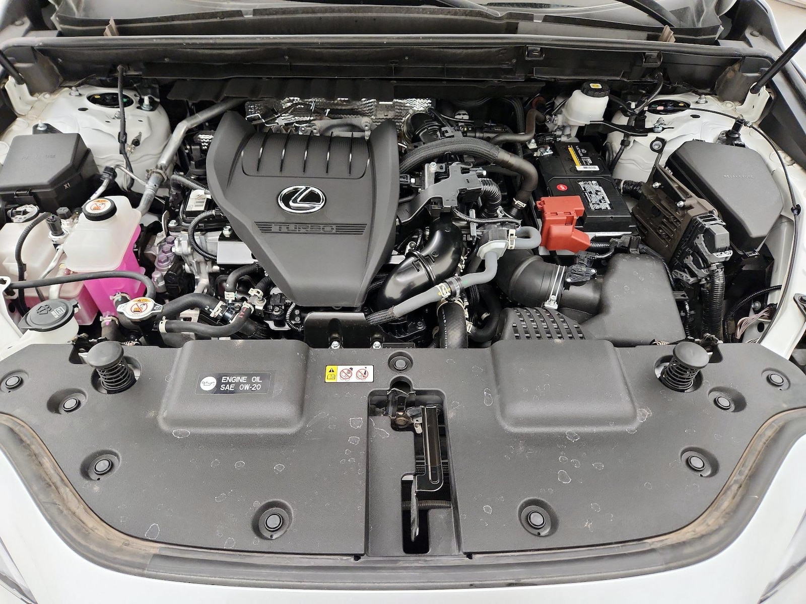2024 Lexus NX 350 - Photo 23