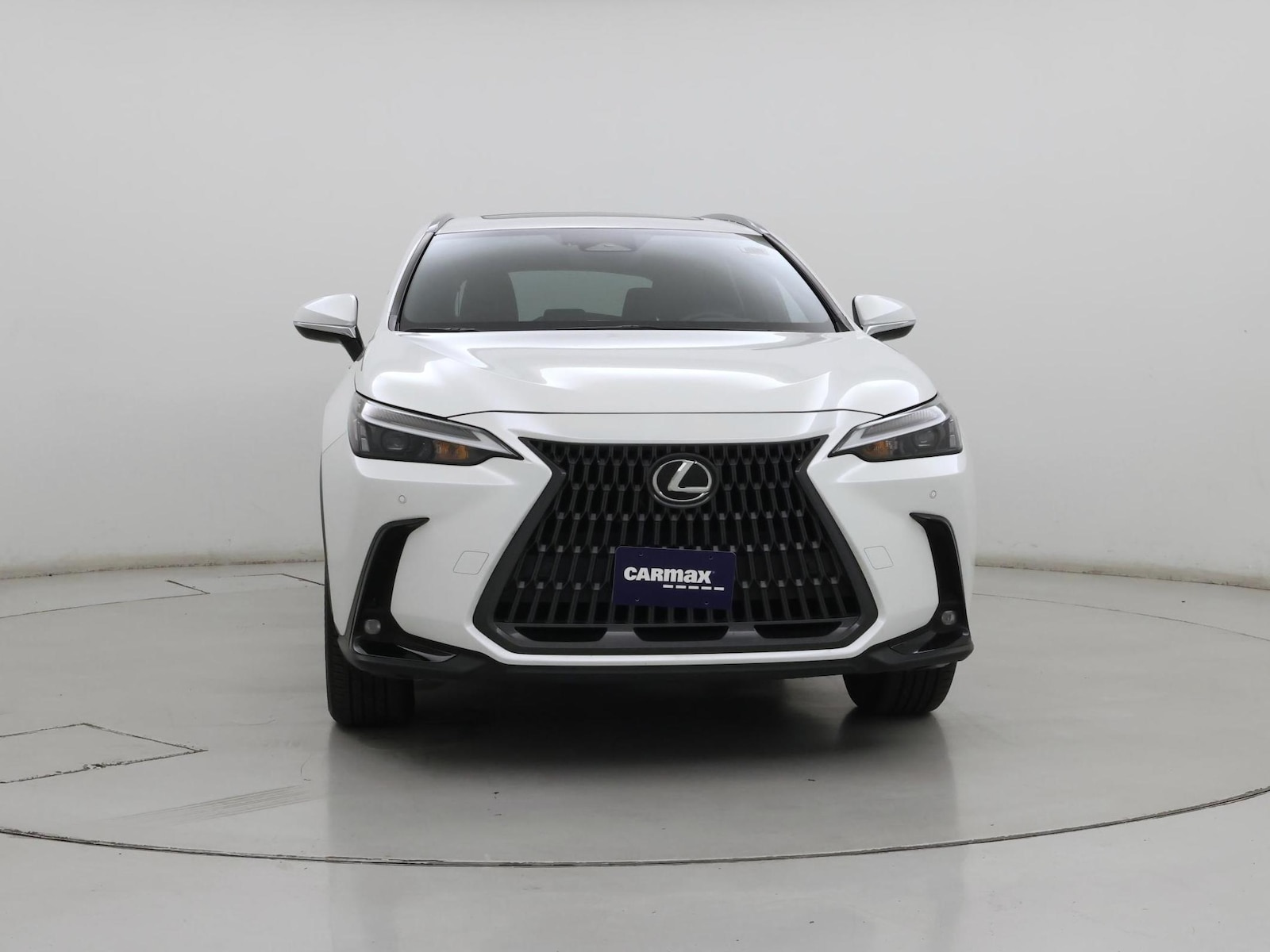 2024 Lexus NX 350 - Photo 6