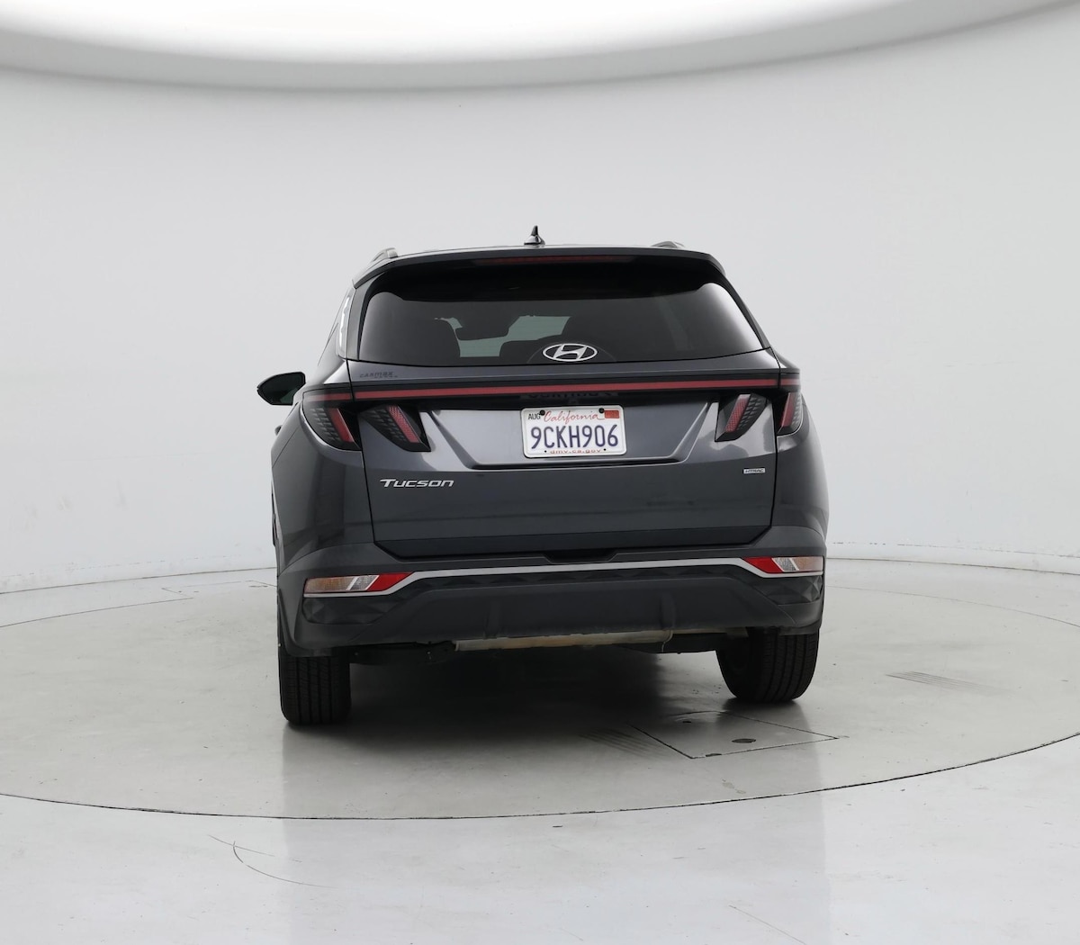 Rear