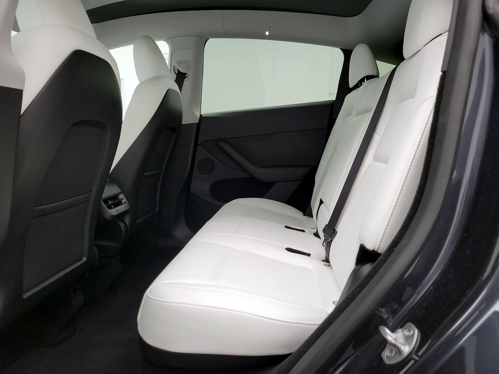 2024 Tesla Model Y Long Range - Photo 19