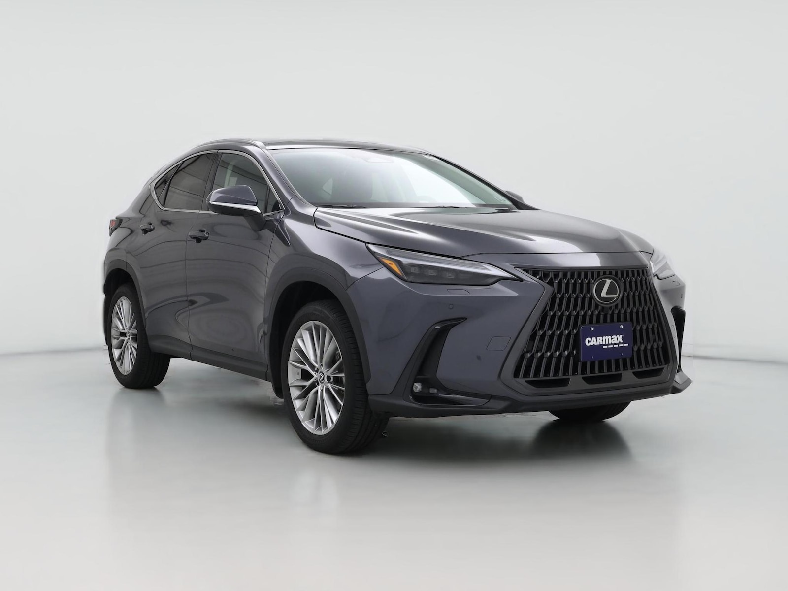 2024 Lexus NX