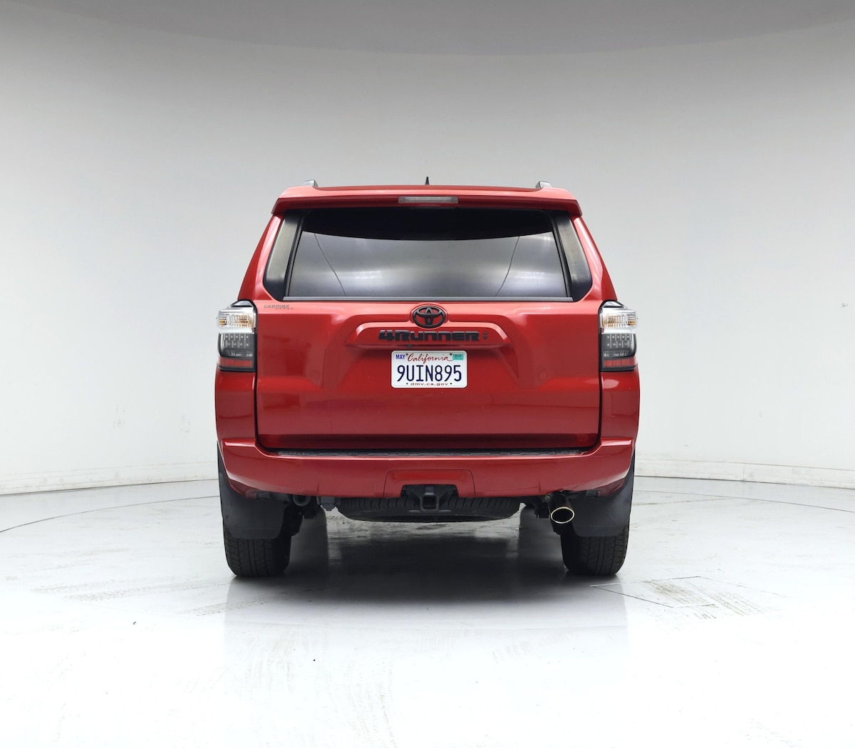 Rear