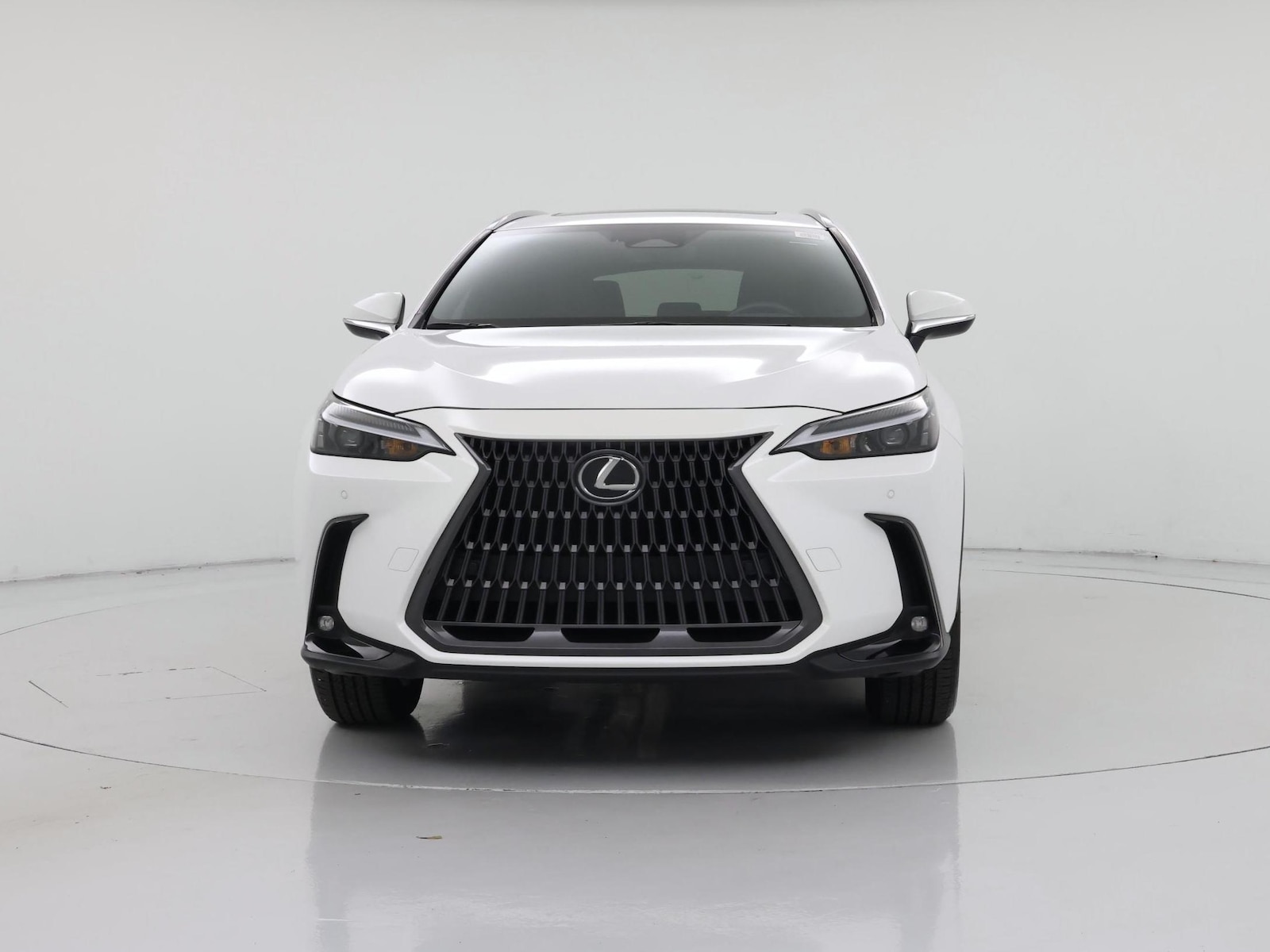 2025 Lexus NX 250 - Photo 6