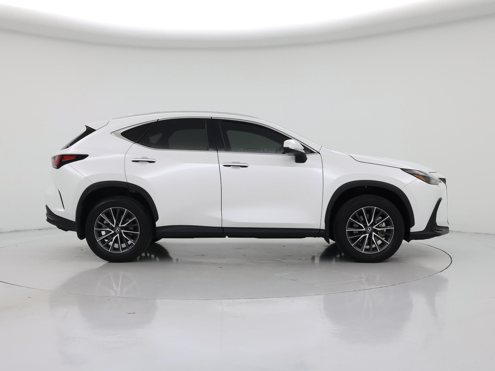 2025 Lexus NX 250 - Photo 8