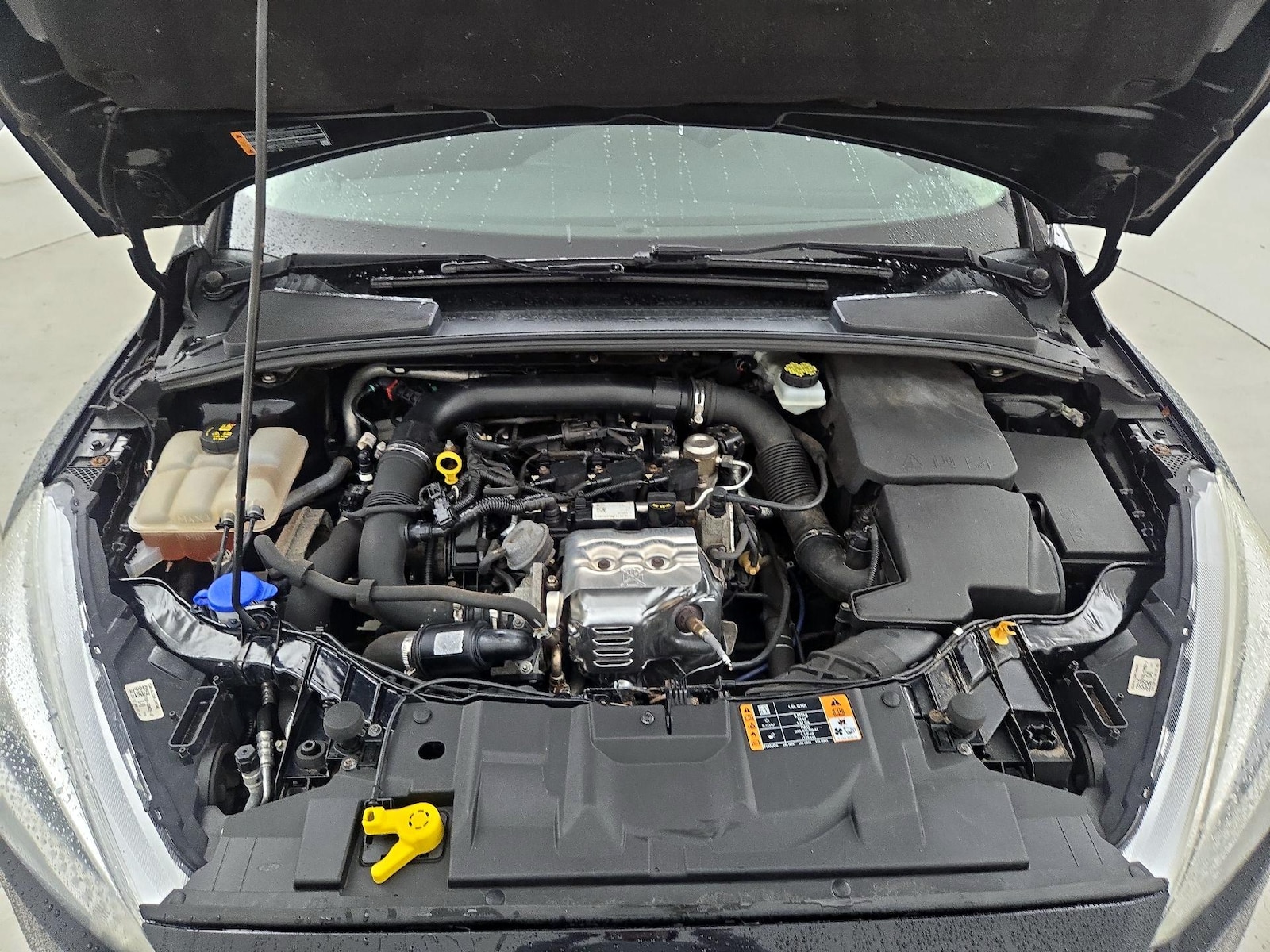 2017 Ford Focus SE - Photo 21