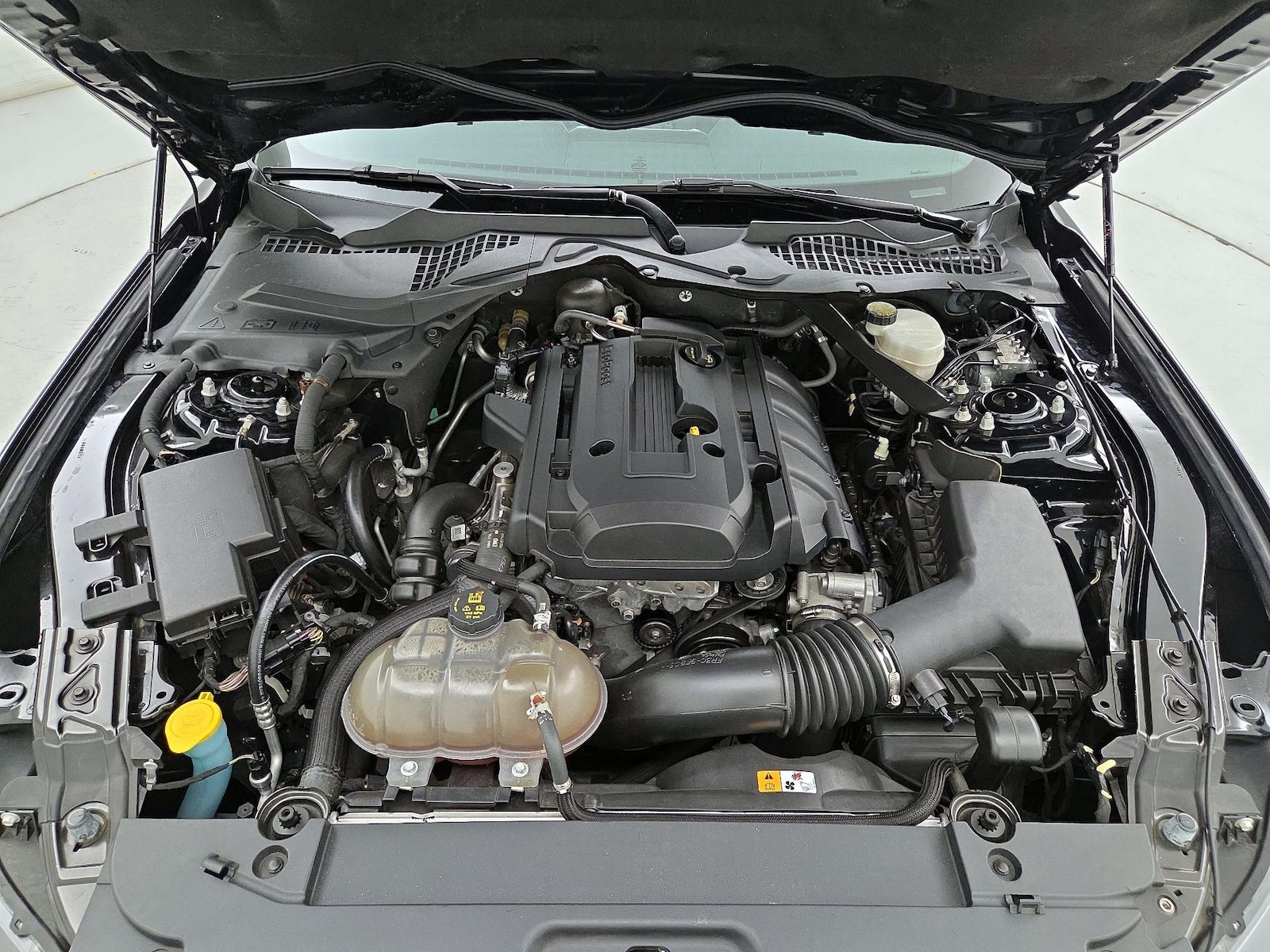 2015 Ford Mustang EcoBoost - Photo 22
