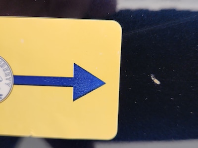 Condition detail