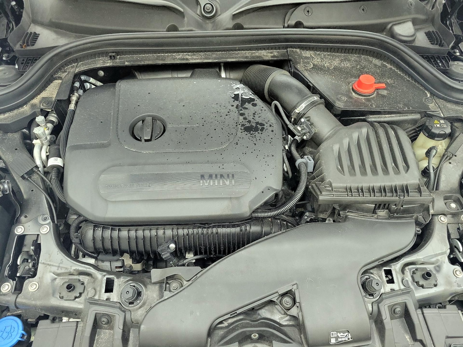 2024 MINI Hardtop 4 Door S - Photo 23