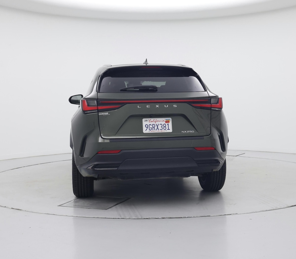 Rear
