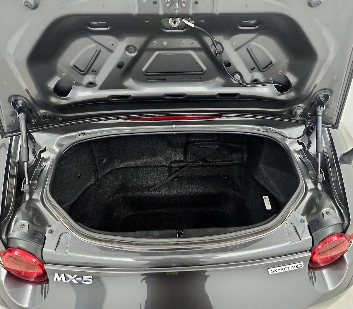 Trunk/Cargo (Seats Up)