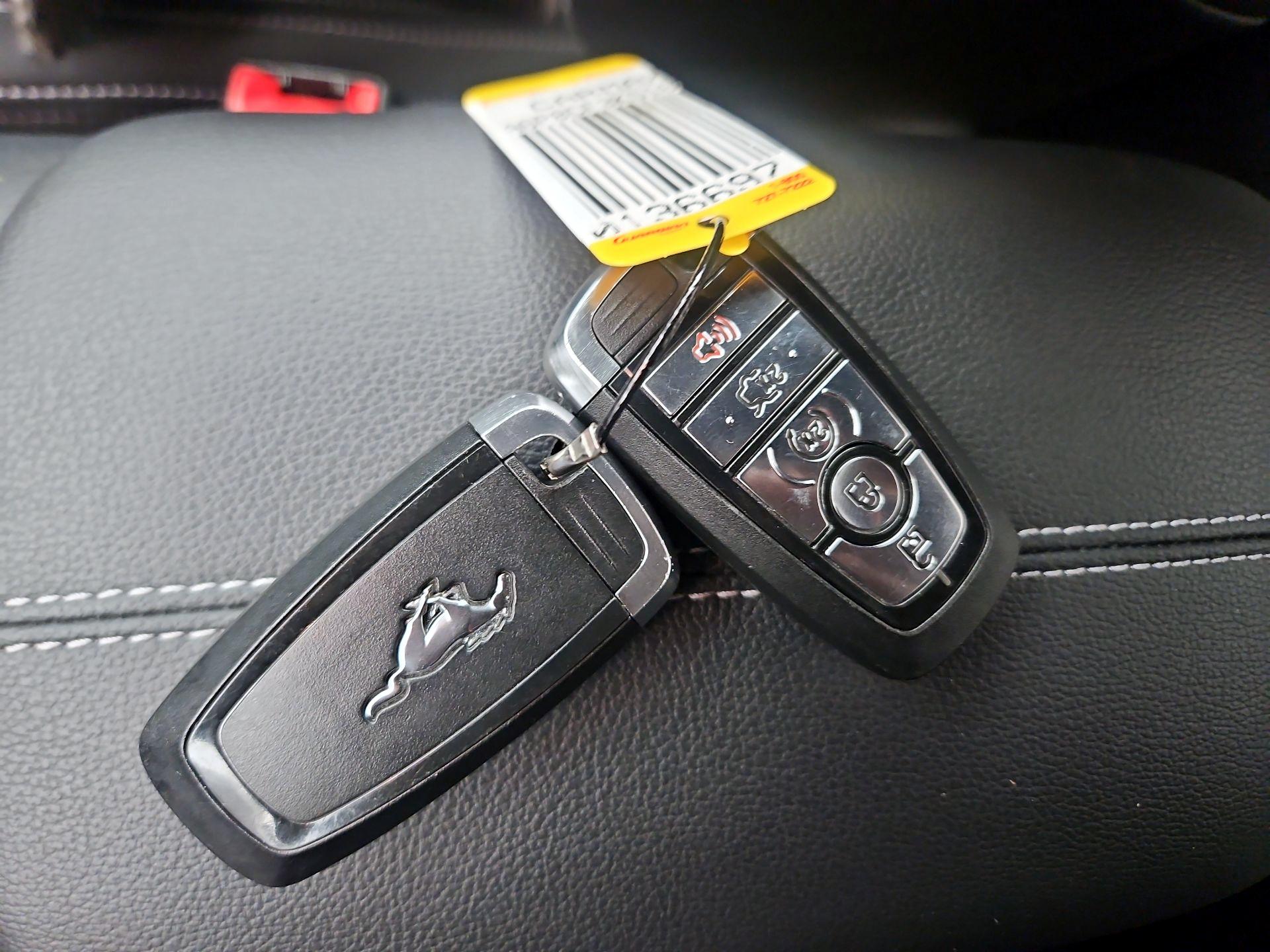 Thumbnail: 2019 Ford Mustang - 20