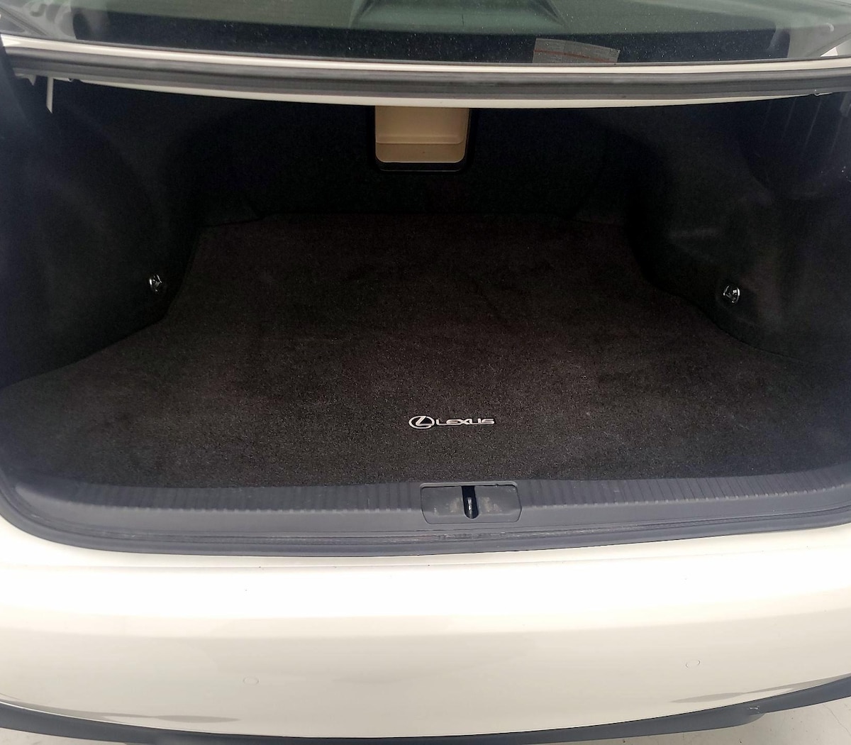 Trunk/Cargo (Seats Up)