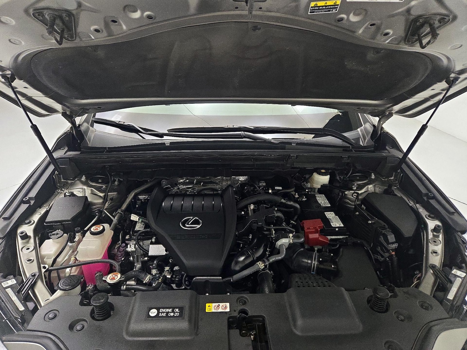 2024 Lexus NX 350 - Photo 21